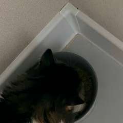 Фото отзыва 10726779