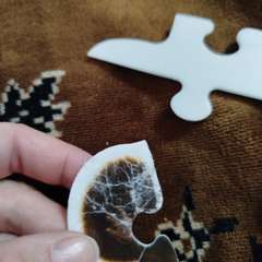 Фото отзыва 11054837