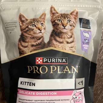 Корм сухой для котят PRO PLAN DELICATE DIGESTION 400г с индейкой: отзыв пользователя. Зоомагазин Зоозавр