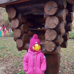 Фото отзыва 10583336