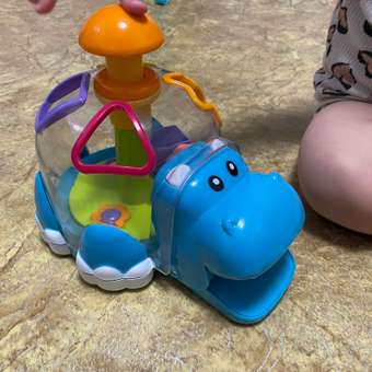 Игрушка BabyGo сортер Бегемот: отзыв пользователя ДетМир