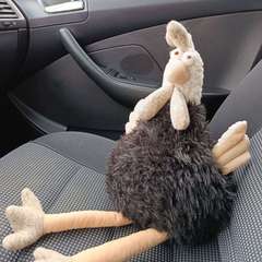 Фото отзыва 11162878