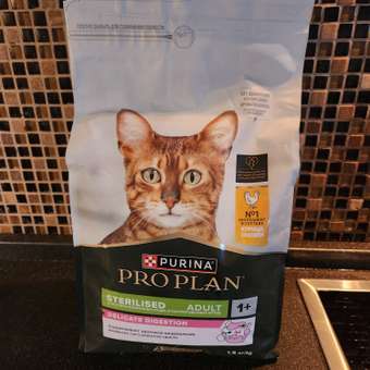Корм сухой для кошек PRO PLAN DELICATE DIGESTION 1.5 кг с курицей для стерилизованных: отзыв пользователя. Зоомагазин Зоозавр