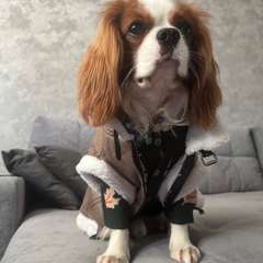 Фото отзыва 10313578