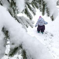 Фото отзыва 10674595