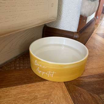 Миска керамическая Barbaks Пустыня объем 600мл: отзыв пользователя. Зоомагазин Зоозавр