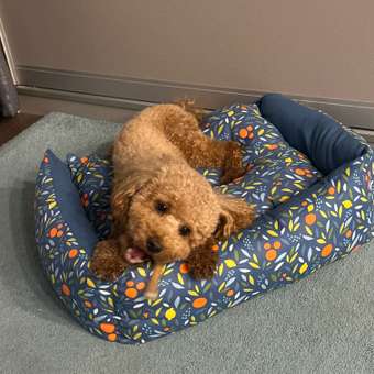 Лежанка GAMMA Мандарин прямоугольная М 52-45-17см 31932173: отзыв пользователя. Зоомагазин Зоозавр