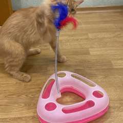 Фото отзыва 5717804