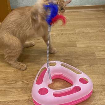 Трек для кошек Ripoma розовый: отзыв пользователя. Зоомагазин Зоозавр