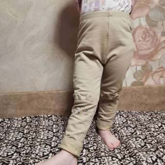 Легинсы Baby Gо: отзыв пользователя Детский Мир