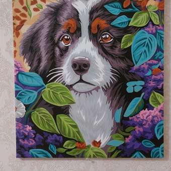 Картина по номерам Hobby Paint Пёсик в цветах в ассортименте: отзыв пользователя Детский Мир