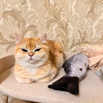 Игрушка для кошек Barbaks Морковки из натурального волокна 2шт: отзыв пользователя. Зоомагазин Зоозавр