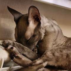 Фото отзыва 10827357