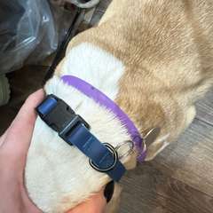 Фото отзыва 10893961