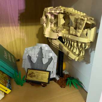 Конструктор LEGO Jurassic World Череп T-Rex 577 дет.: отзыв пользователя Детский Мир