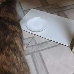 Видео отзыва 11126495