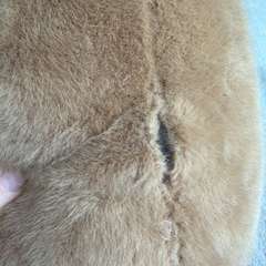 Фото отзыва 10941483