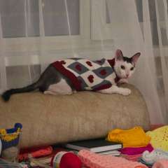 Фото отзыва 11284064