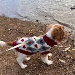 Фото отзыва 11216050