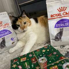 Фото отзыва 10720999