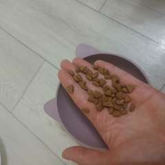 Фото отзыва 10710083