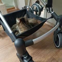 Фото отзыва 10940424