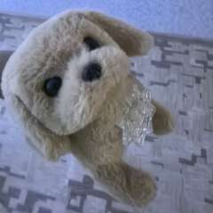 Фото отзыва 10885156