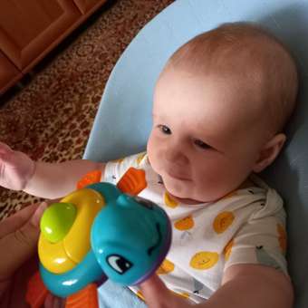 Игрушка BabyGo Черепашка: отзыв пользователя ДетМир