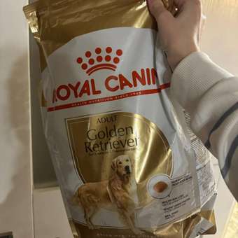 Корм для собак ROYAL CANIN Golden Retriever породы золотистый ретривер 3кг: отзыв пользователя. Зоомагазин Зоозавр