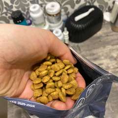 Фото отзыва 10660247