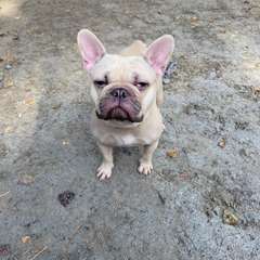 Фото отзыва 10554077