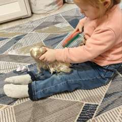 Фото отзыва 10512663