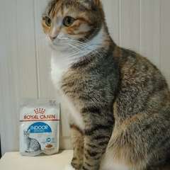 Фото отзыва 10653824