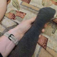 Фото отзыва 10458787