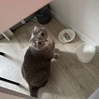 Корм для кошек ROYAL CANIN Satiety management 34 контроль веса 1.5кг: отзыв пользователя. Зоомагазин Зоозавр