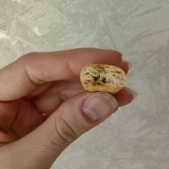 Фото отзыва 11274137