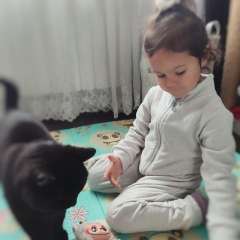 Фото отзыва 10336442