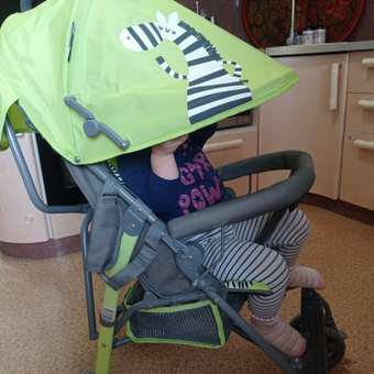 Коляска прогулочная Babyton Zoo Green зеленый: отзыв пользователя ДетМир