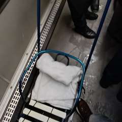 Фото отзыва 10843762