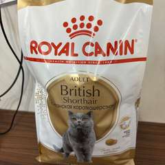 Фото отзыва 11015799