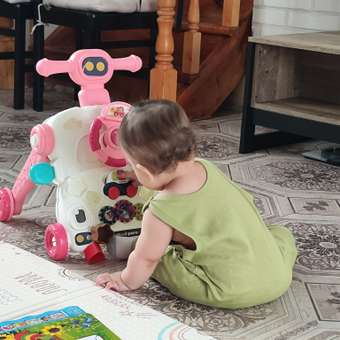 Ходунки Babyhit: отзыв пользователя Детский Мир