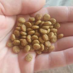 Фото отзыва 10460245