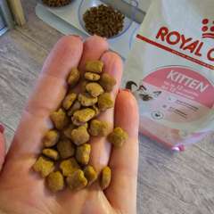 Фото отзыва 10431608