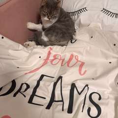 Фото отзыва 10461060