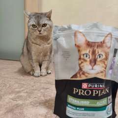 Фото отзыва 10725498