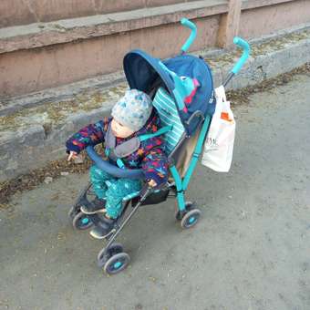 Коляска прогулочная Babyton Zoo Blue синий: отзыв пользователя ДетМир