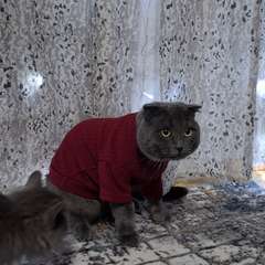 Фото отзыва 10638549