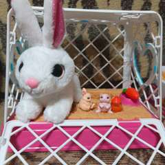 Фото отзыва 10631472