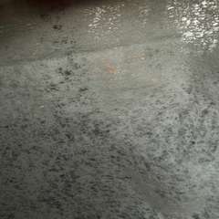 Фото отзыва 10730709