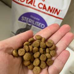 Фото отзыва 10591265